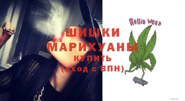 apvp Михайлов