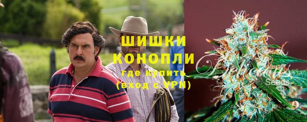 apvp Михайлов