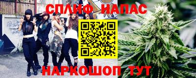 МДПВ Пенза