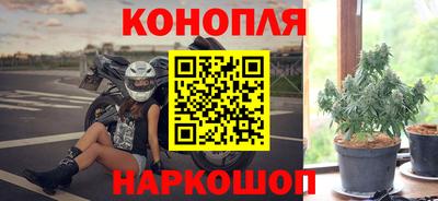 тгк Партизанск
