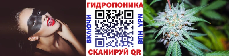 Каннабис SATIVA & INDICA  Полысаево 